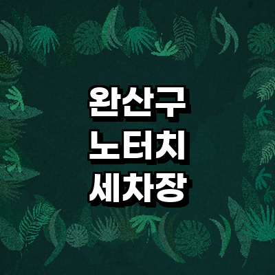 전주 완산구 노터치 세차