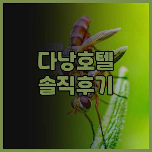 다낭 그랜드 머큐어 호텔 후기, 럭셔..