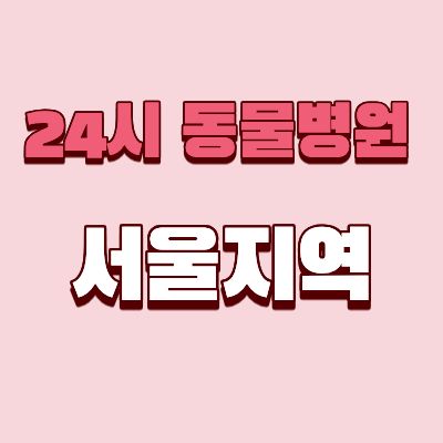 서울 24시 동물병원 총정리, 응급 진료 가능한 곳 모음 관련이미지