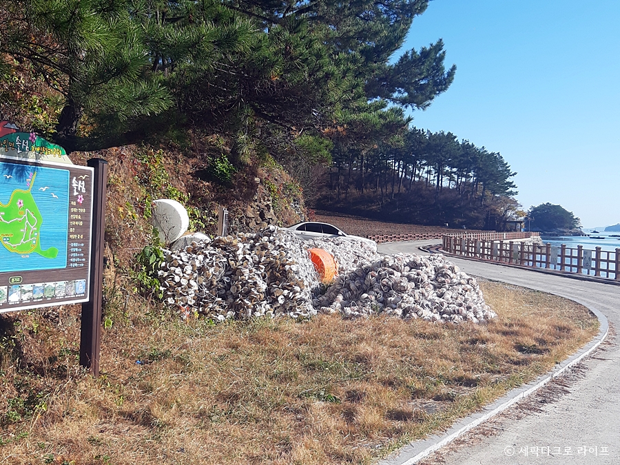 경남고성솔섬