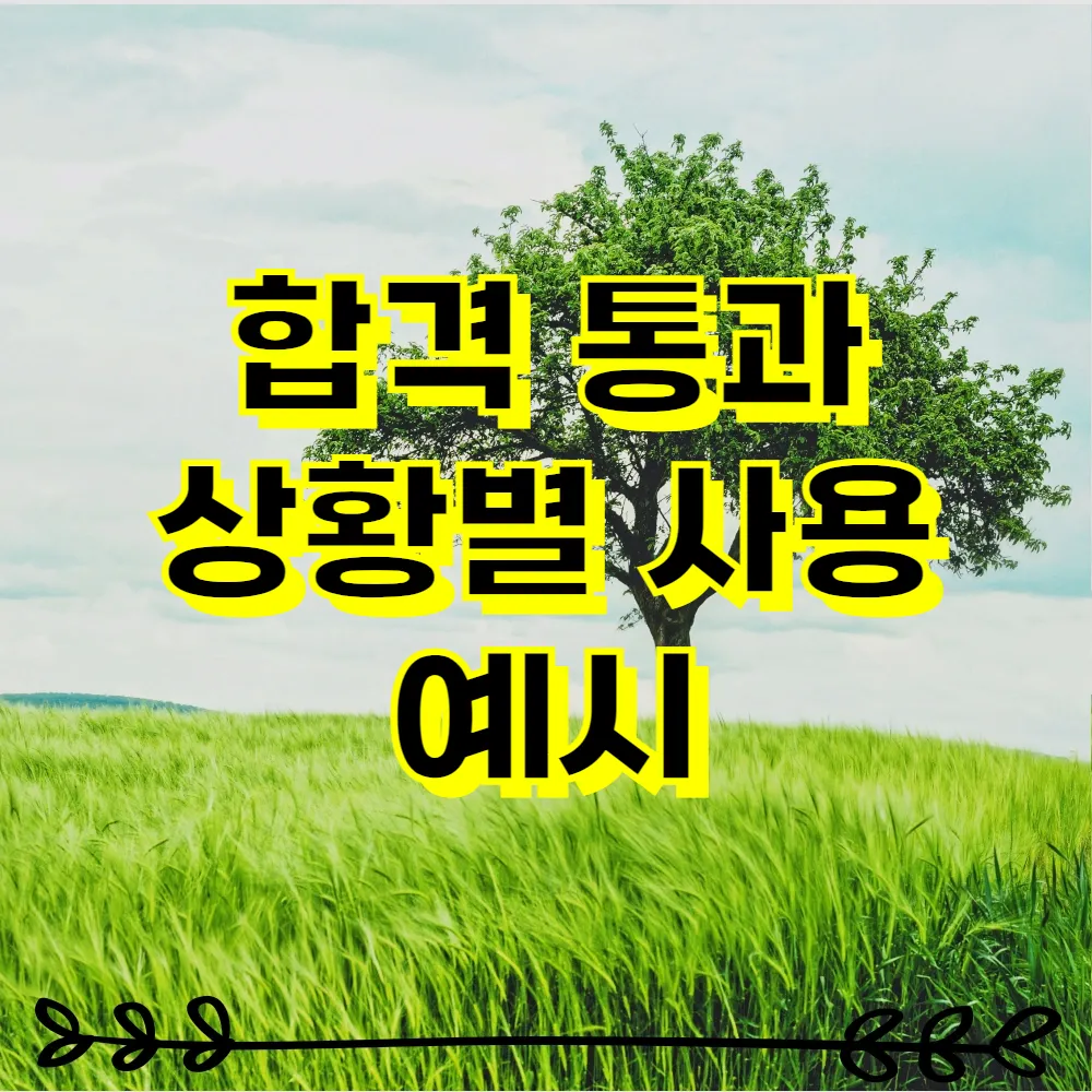 합격 통과 상황별 사용 예시