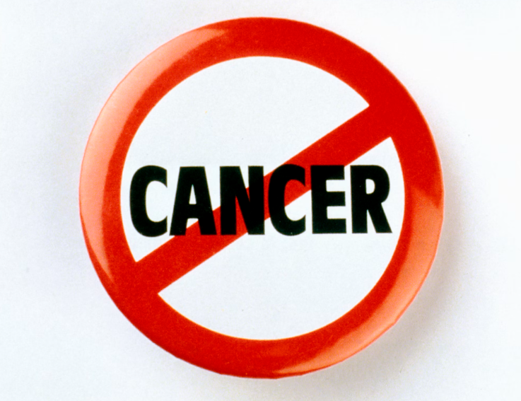 OECD 주요국 암 통계 관련 이미지