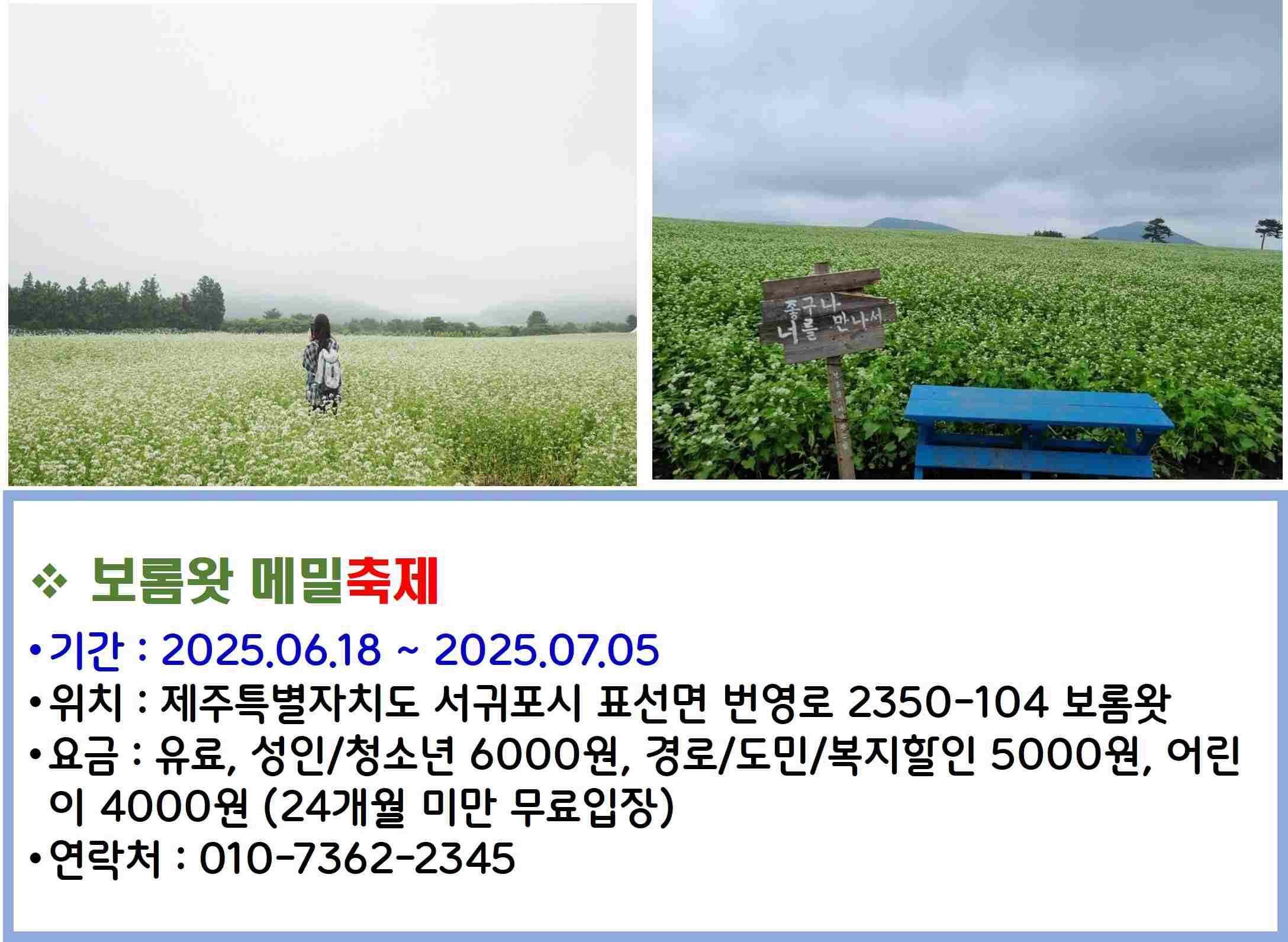 보롬왓 메밀축제