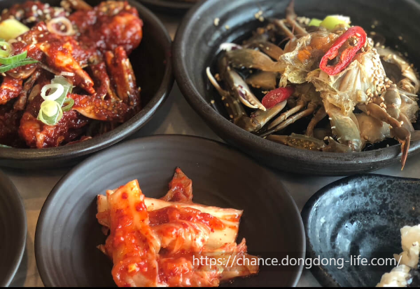 김장 김치 10kg 20kg 20포기 50포기 황금 양념 비율로 맛있게 담그는 방법