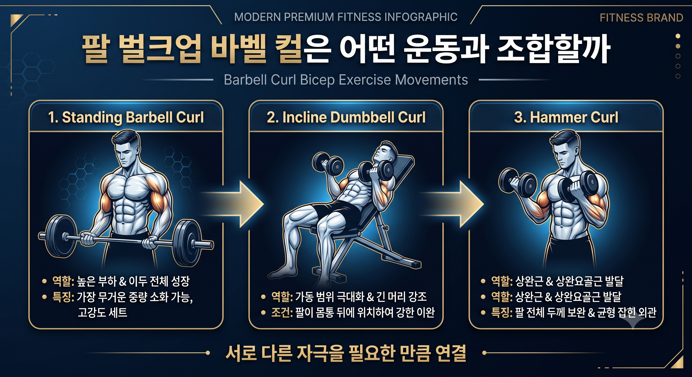 벌크업 바벨 컬은 어떤 운동과 조합할까