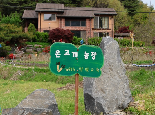 [6시 내고향] 보령 키조개 택배주문&amp;#44; 카트체험&amp;#44; 죽도상화원&amp;#44; 은고개마을뽕센터 정보