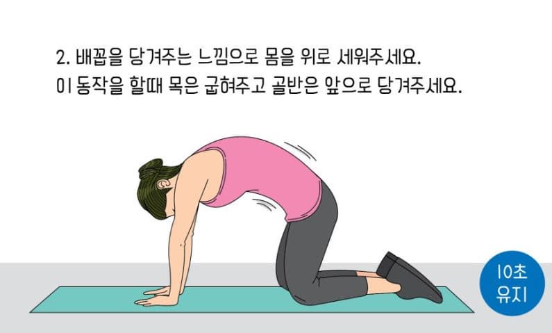 네발기기 자세 고양이 자세