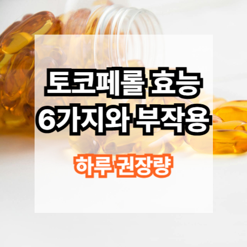 토코페롤 비타민E 섭취량