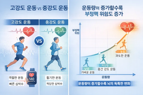 운동 유발 부정맥성 심근병증 연구 결과 관련 이미지