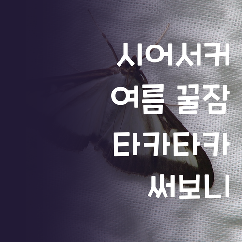 타카타카 시어서커 패드 써보니 여름밤..
