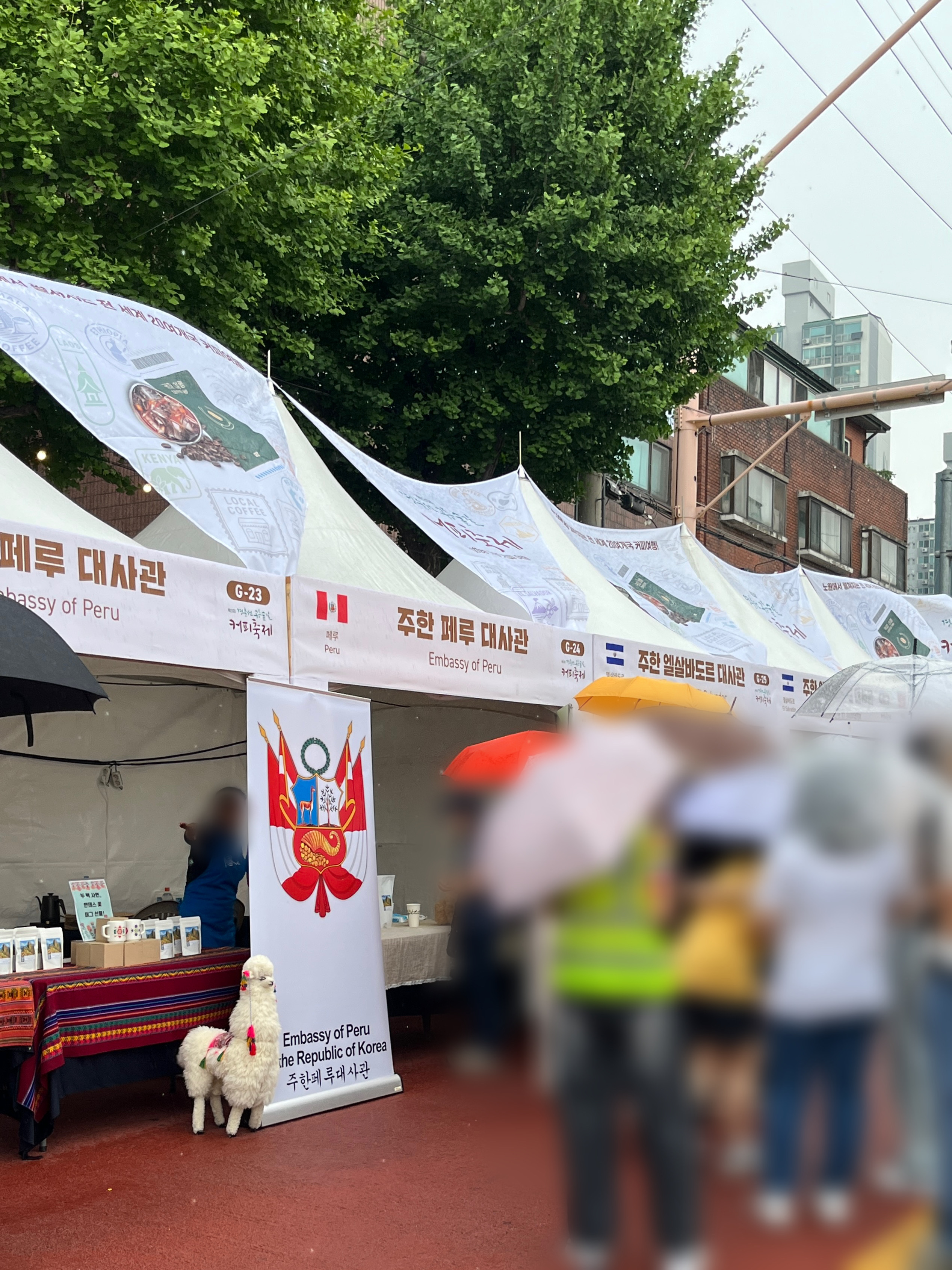 공릉숲길 커피축제