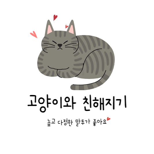 고양이와친해지기