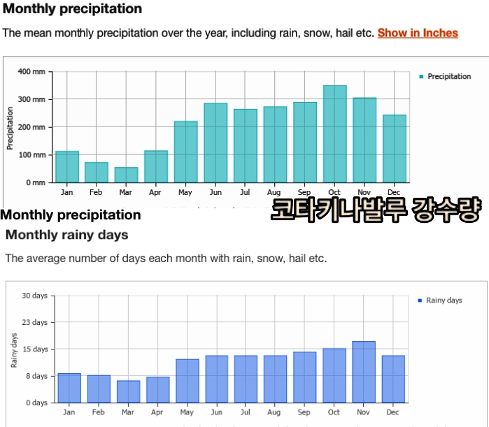 코타키나발루-우기기간-강수량