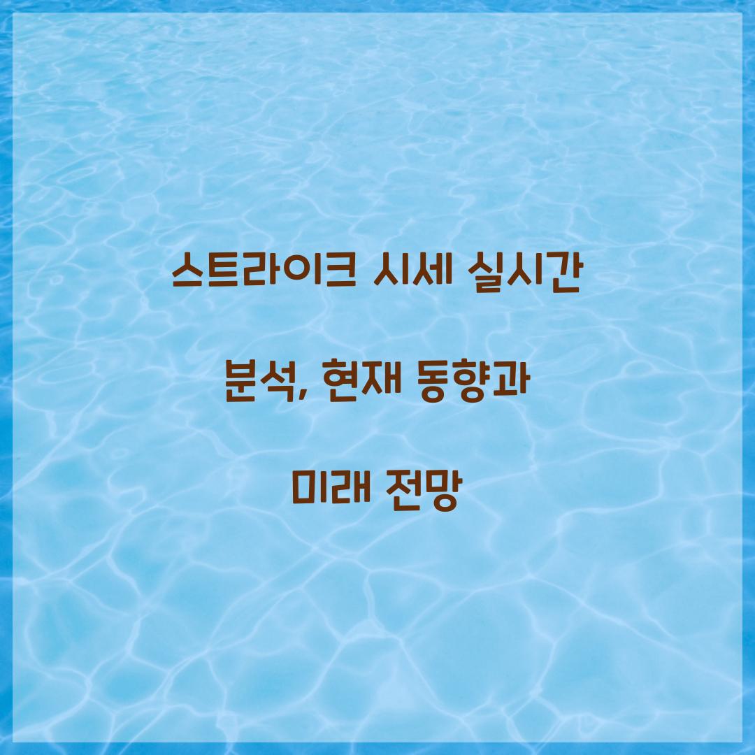 스트라이크 시세 실시간 분석