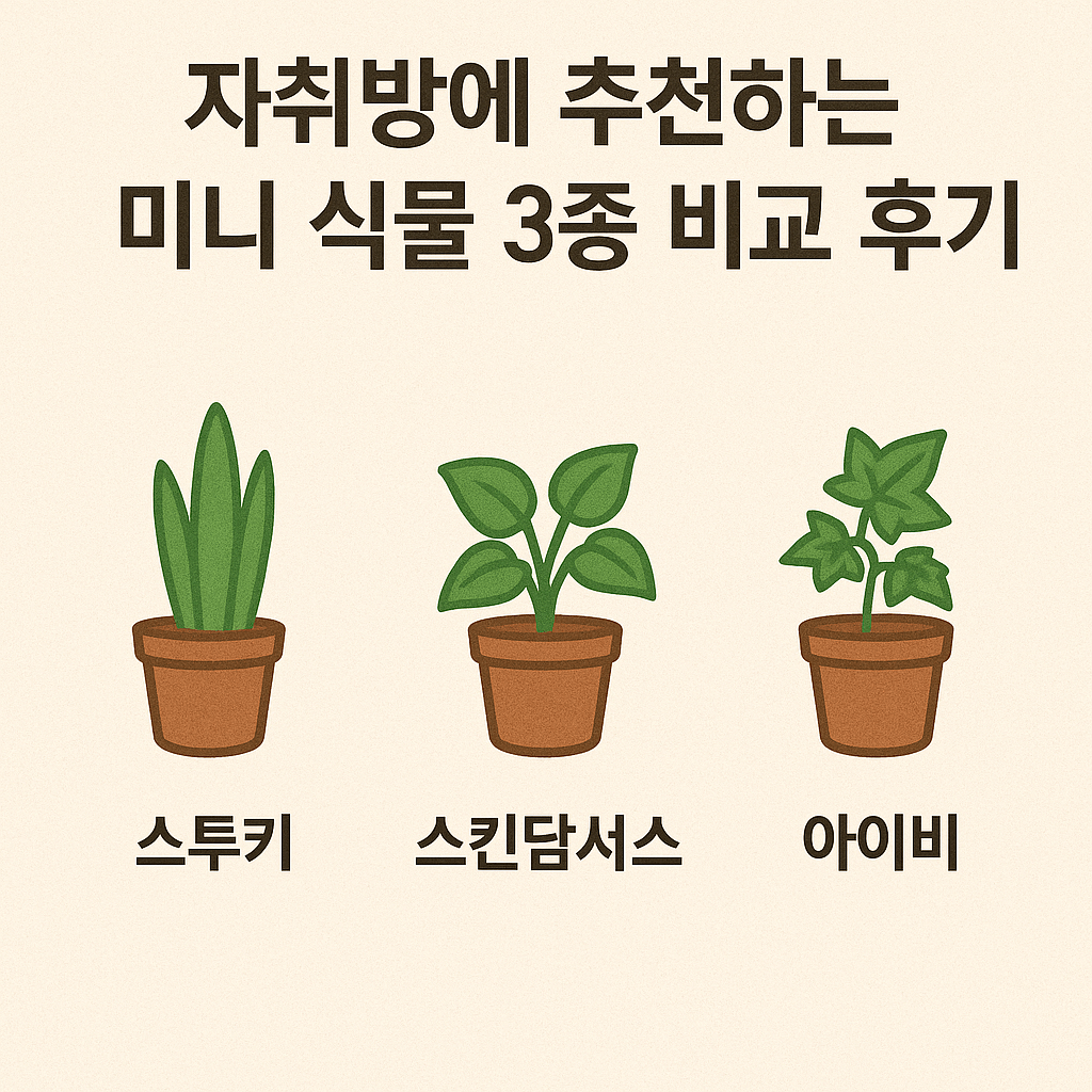 자취방에서 키우기 좋은 미니 식물 3종을 비교