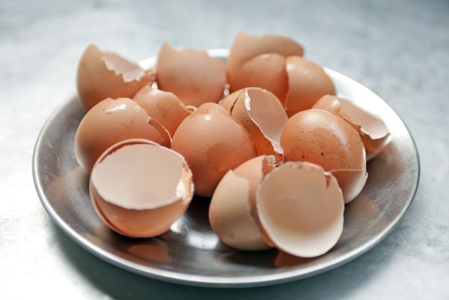 싱크대 막힘 싱크대 막혔을때, 싱크대 하수구 막힘 막혔을때, 베란다 텃밭 비료, 달걀껍질 음식물쓰레기 싱크대 막힌 것 어떻게 뚫나요, 생활 팁줌 매일꿀정보