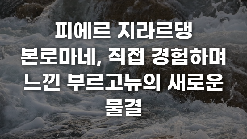피에르 지라르댕 본로마네 사진 1