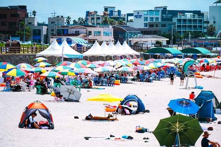 제주도 2박3일 여행코스 추천