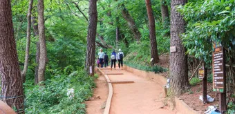 황토길 맨발걷기 효능 부작용 무좀_3