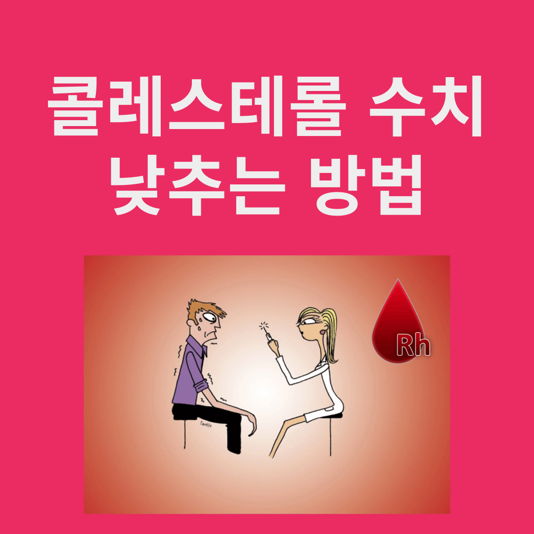 콜레스테롤