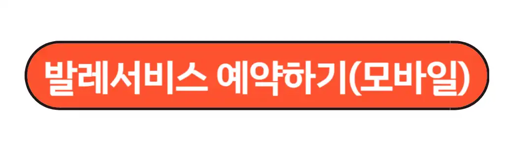 발레서비스