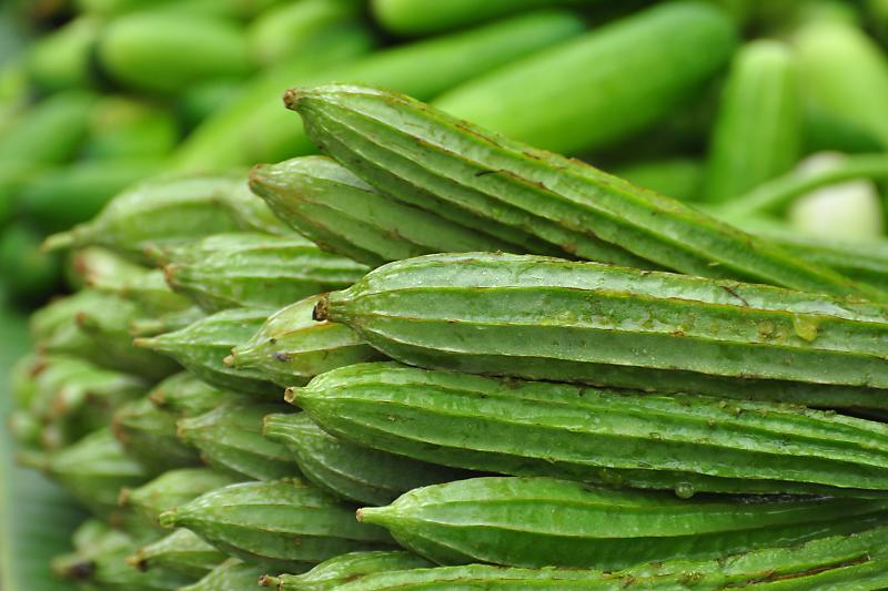 수세미박 효능 및 부작용