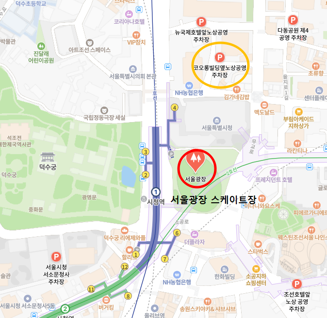 코오롱빌딩옆 노상공영주차장