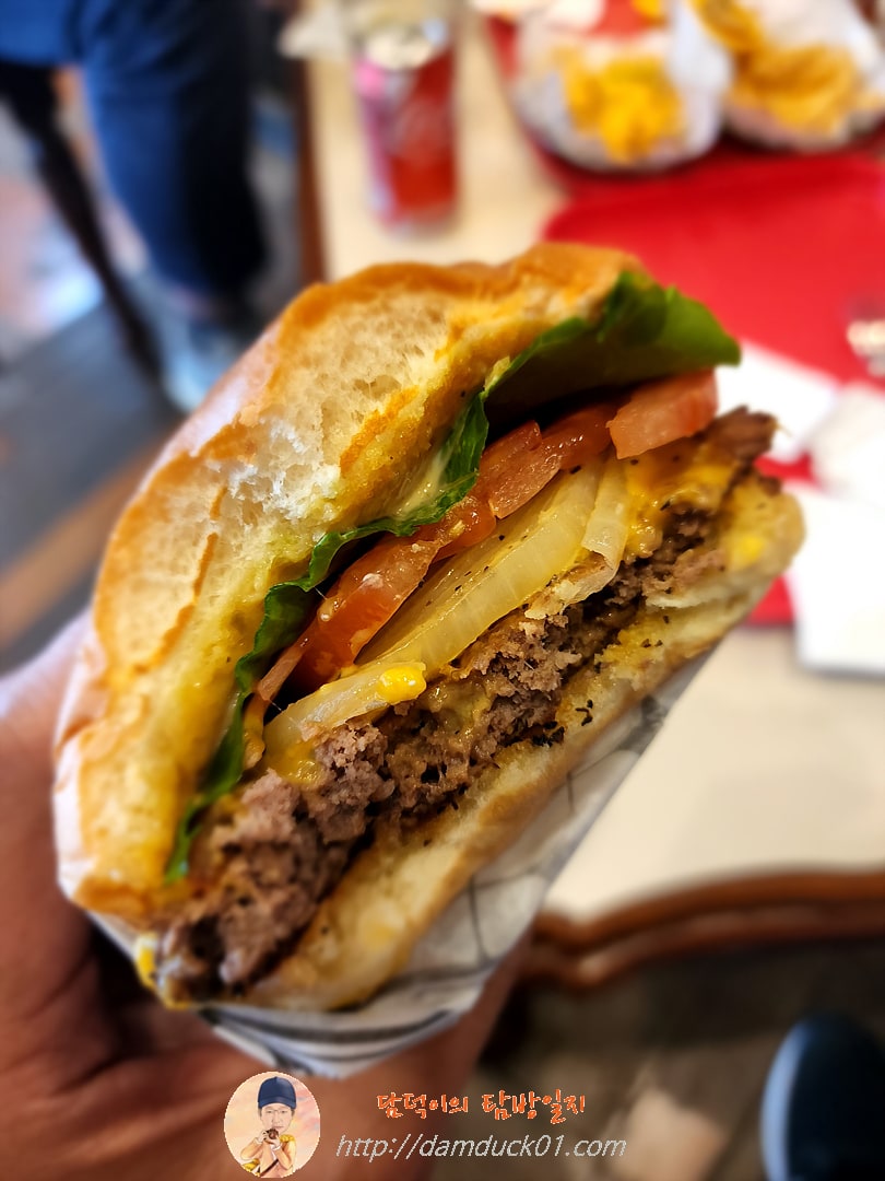 자이온버거 단면