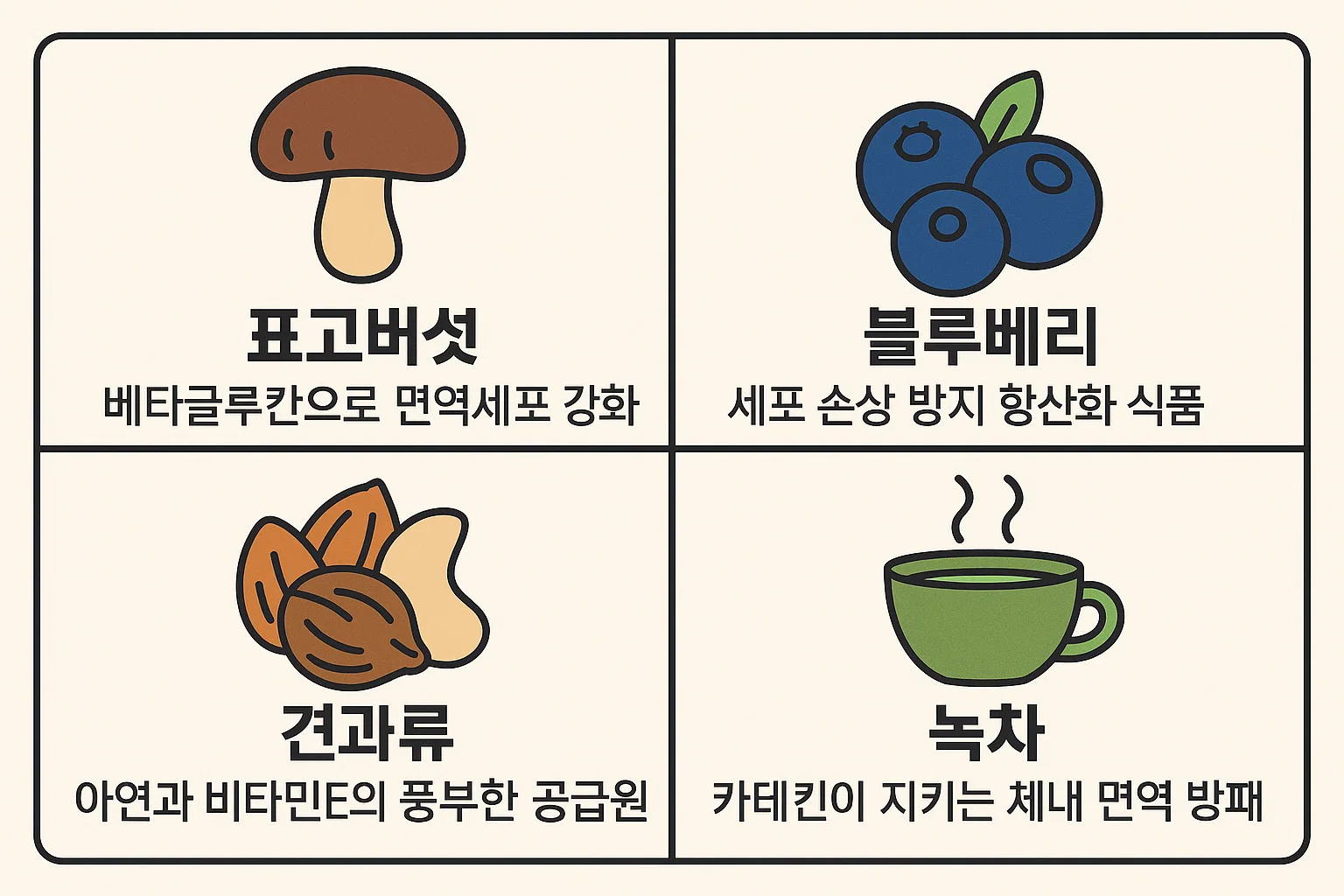 표고버섯의 베타글루칸, 블루베리의 항산화 효과, 견과류의 비타민, 녹차의 카테킨 등 면역세포 활성화에 도움되는 영양소를 시각적으로 정리한 인포그래픽.