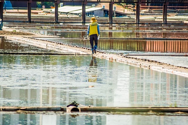 소금 장인(Salt Harvester) &ndash; 자연이 빚어낸 결정체를 만드는 사람들