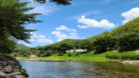 내리계곡솔밭캠핑장