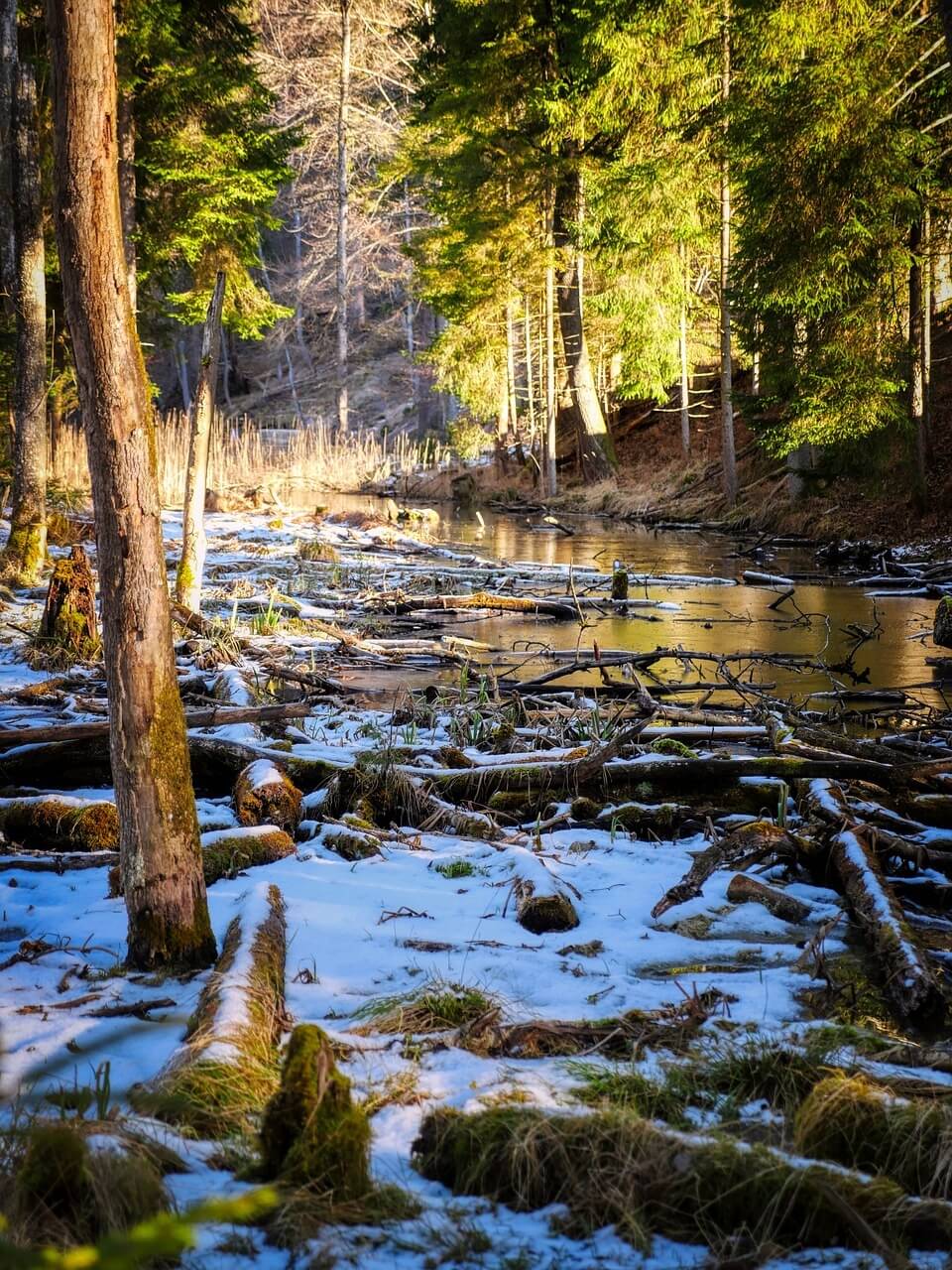 입동 날짜와 의미