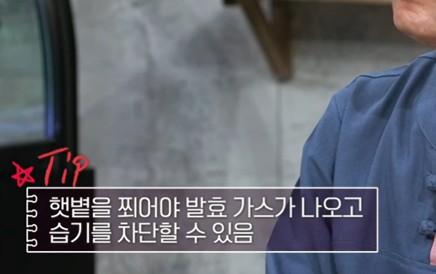 매실청 담그는 법