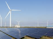 코드네이처 주가 전망