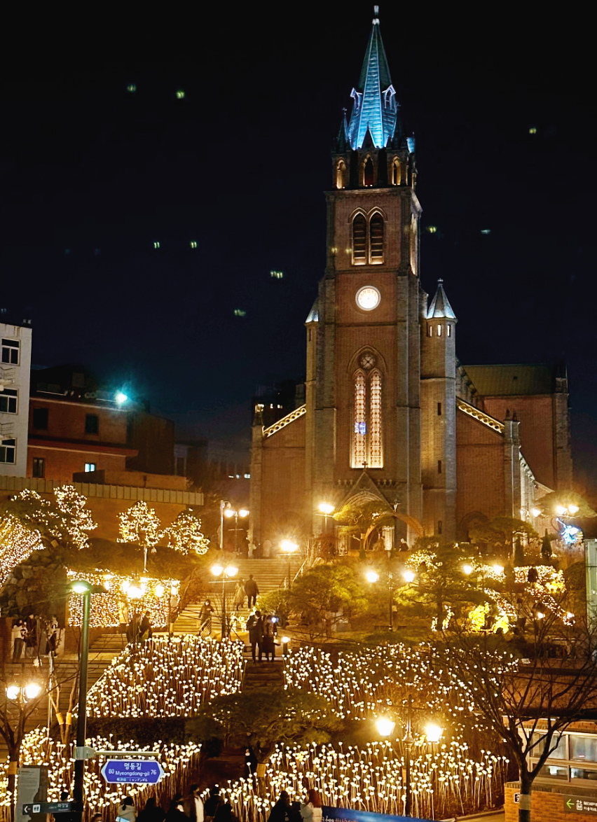 명동성당 크리스마스 LED 장미정원1