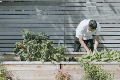 정원 가꾸기로 정신수양하기