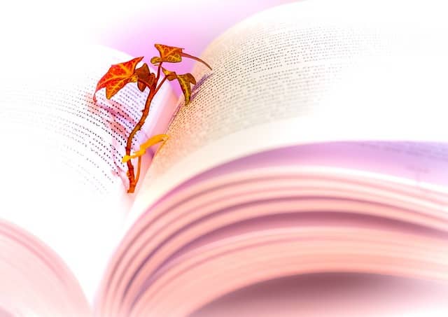 한국어 초급 학습자를 위한 읽기 향상 팁