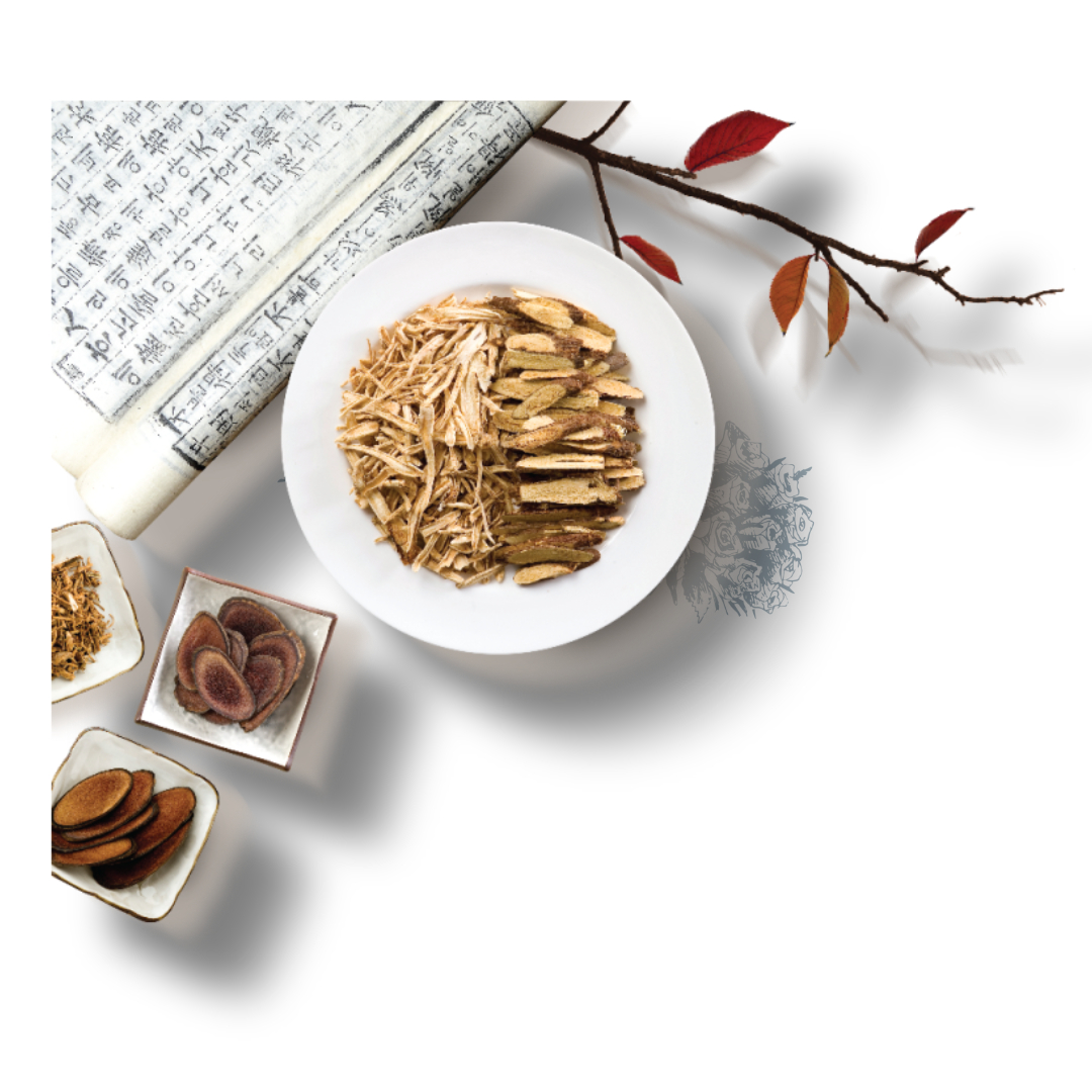 차가버섯과 관련된 사진입니다.