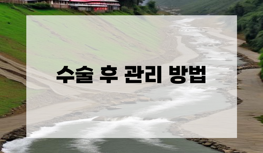 수술 후 관리 방법