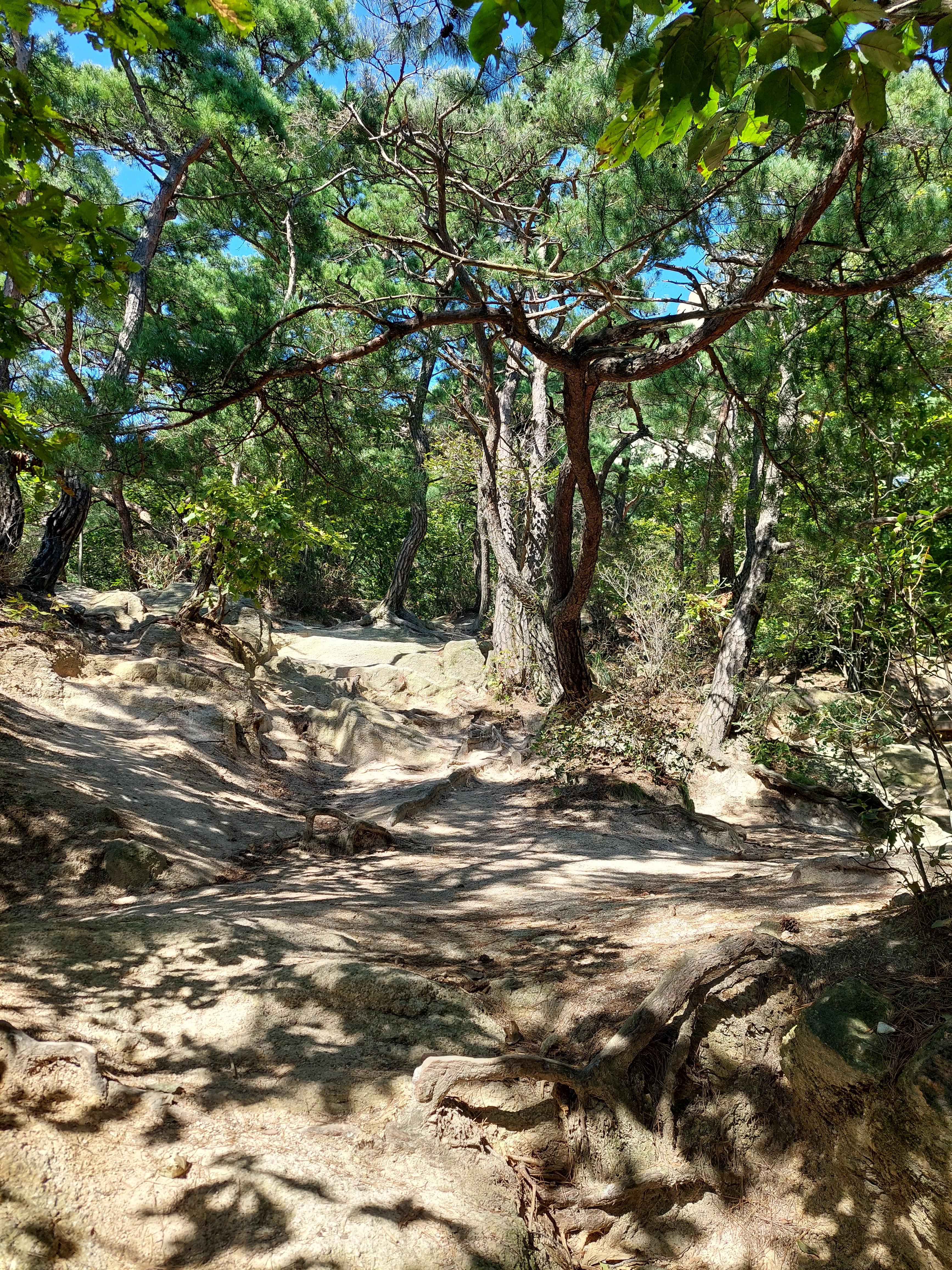 도봉산