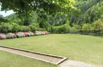 고산 자연휴양림_2