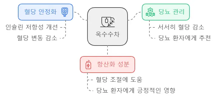 옥수수차 혈당조절기능