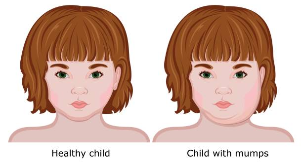 주요 증상은 어떤가요?