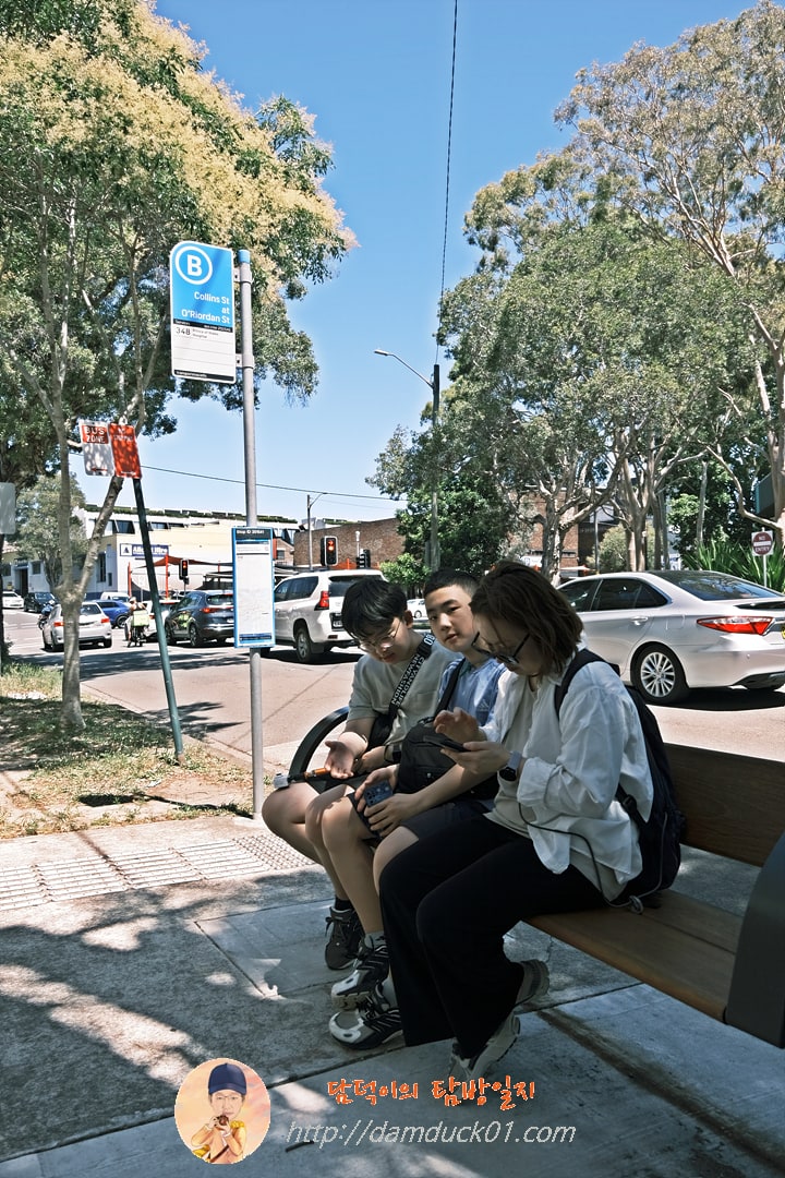 Collins St at O'Riordan St BUS STOP 201541