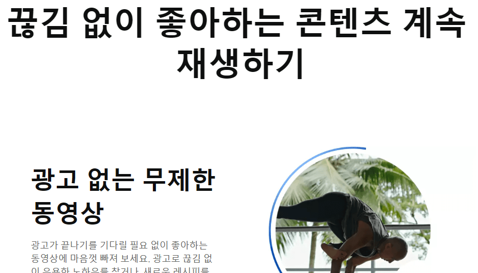 유튜브 프리미엄 우회