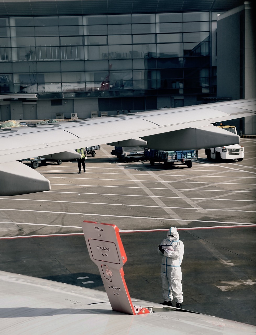 세계보건기구 역할 관련 사진