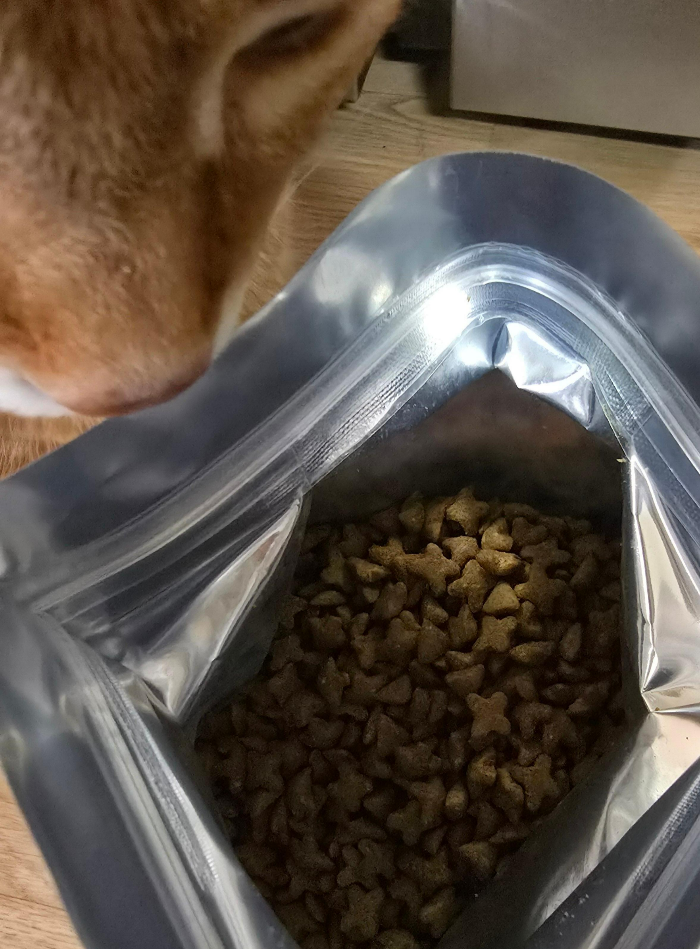 퓨리나 캣 프로플랜 실내묘 헤어볼4