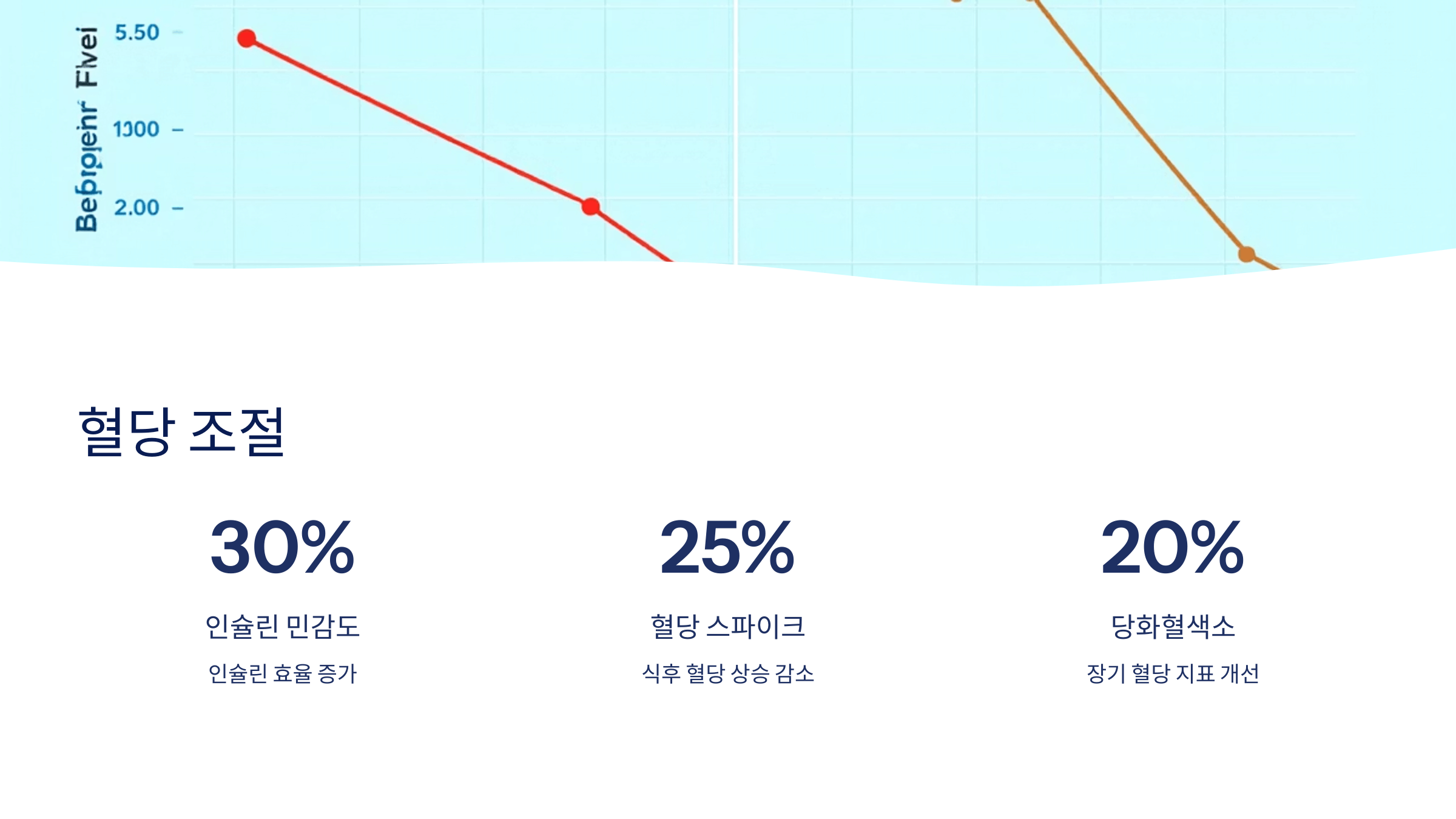 파비플로라 사진입니다.