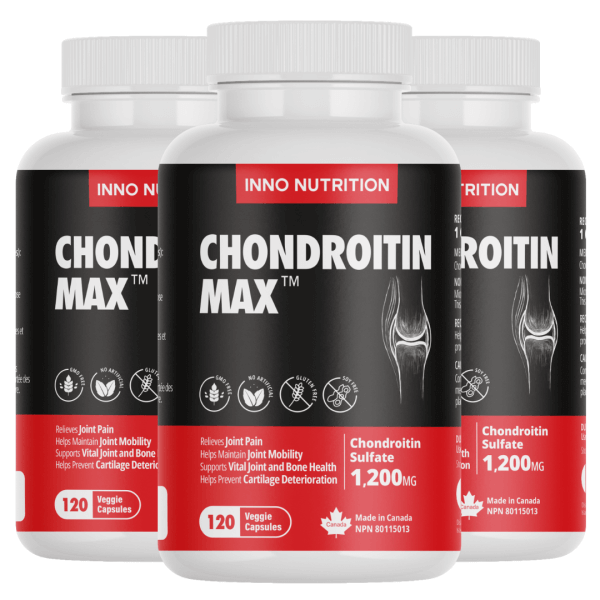 콘드로이친1200 철갑상어 가격 효능 부작용 복용법