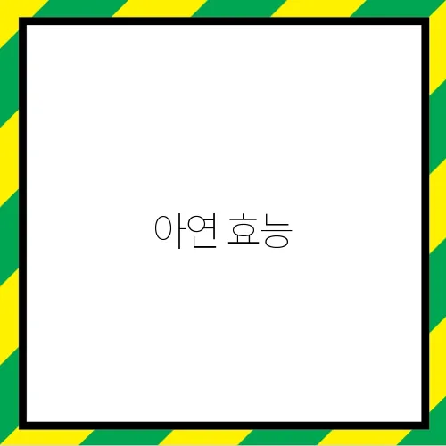 아연 효능